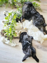 Load image into Gallery viewer, Whole Prey Rabbit Fuzzies - Limited Edition