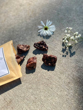 Load image into Gallery viewer, Bison Lung (GFF & Free Range)