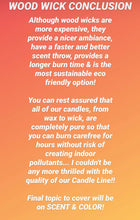 Load image into Gallery viewer, Medium 10oz Candle