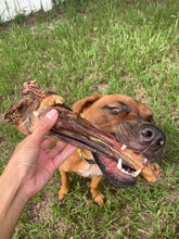 Load image into Gallery viewer, Lamb Shank (GFF & Pasture Raised)