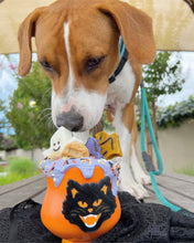 Load image into Gallery viewer, Butterfly Pea Flower Powder (Organic)