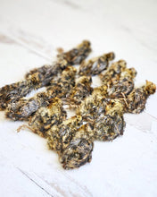 Load image into Gallery viewer, Whole Prey Quail Hatchlings (Feathered) - Limited Edition