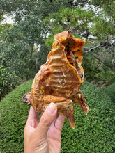 Load image into Gallery viewer, Rabbit Frames (Chunked & Whole) - Limited Edition