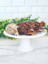 Load image into Gallery viewer, Turkey Heads - Limited Edition