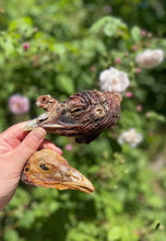 Load image into Gallery viewer, Turkey Heads - Limited Edition
