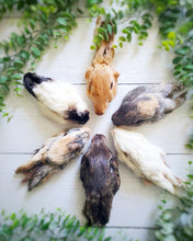 Load image into Gallery viewer, Rabbit Head - Limited Edition