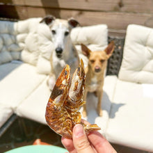 Load image into Gallery viewer, Shrimp