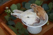 Load image into Gallery viewer, Rabbit Head - Limited Edition
