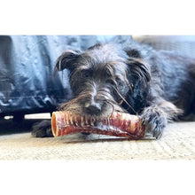 Load image into Gallery viewer, Beef Trachea (Grass Fed & Finished)