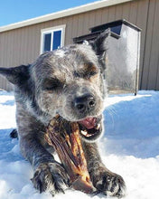 Load image into Gallery viewer, Lamb Shank (GFF & Pasture Raised)