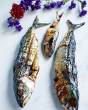 Load image into Gallery viewer, Norwegian Mackerel (Wild Caught)