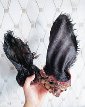 Load image into Gallery viewer, Beef Ear (Hairy)