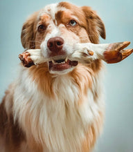 Load image into Gallery viewer, Sheep Trotter