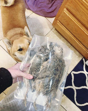 Load image into Gallery viewer, Whole Prey Quail (Feathered) - Limited Edition