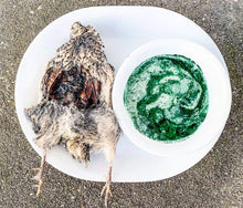 Load image into Gallery viewer, Whole Prey Quail (Feathered) - Limited Edition