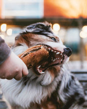 Load image into Gallery viewer, Pig Trotter (Hairy)