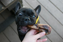 Load image into Gallery viewer, Duck Heads (ABF)