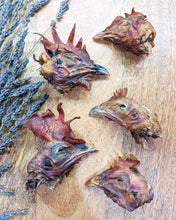 Load image into Gallery viewer, Chicken Heads