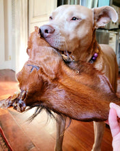 Load image into Gallery viewer, Beef Ear (Hairy)