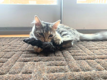 Load image into Gallery viewer, Rabbit Feet