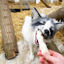 Load image into Gallery viewer, Rabbit Feet