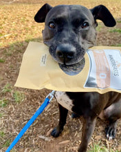 Load image into Gallery viewer, Whole Prey Quail (Feathered) - Limited Edition