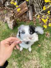 Load image into Gallery viewer, Rabbit Ears - Limited Edition