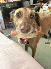 Load image into Gallery viewer, Pig Trotter (Hairy)