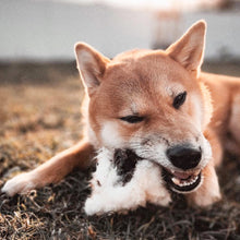 Load image into Gallery viewer, Whole Prey Rabbit Fuzzies - Limited Edition