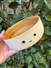 Load image into Gallery viewer, Ceramic Pet Bowl