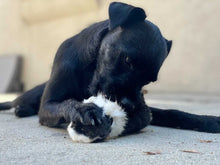 Load image into Gallery viewer, Whole Prey Rabbit Fuzzies - Limited Edition