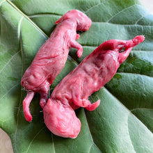 Load image into Gallery viewer, Whole Prey Rabbit Pinkies