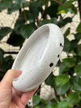 Load image into Gallery viewer, Ceramic Pet Bowl