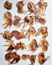 Load image into Gallery viewer, Baby Octopus (Wild Caught)