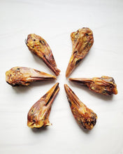 Load image into Gallery viewer, Duck Heads (ABF)