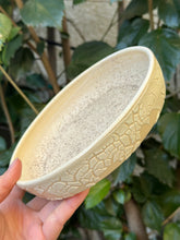 Load image into Gallery viewer, Ceramic Pet Bowl