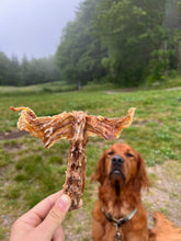 Load image into Gallery viewer, Rabbit Frames (Chunked & Whole) - Limited Edition