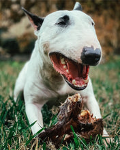 Load image into Gallery viewer, Beef Ear (Hairy)