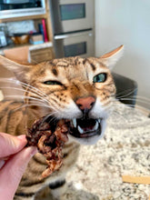 Load image into Gallery viewer, Bison (GFF & Free Range)(Fat Trimmed) - Limited Edition