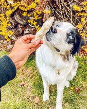 Load image into Gallery viewer, Rabbit Feet