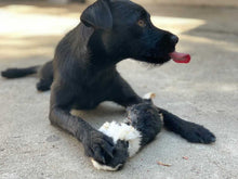 Load image into Gallery viewer, Whole Prey Rabbit Fuzzies - Limited Edition