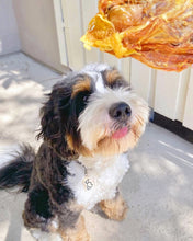 Load image into Gallery viewer, Chicken Frames (Chunked)