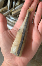 Load image into Gallery viewer, Smelt - Bulk Bag