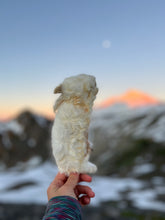 Load image into Gallery viewer, Whole Prey Rabbit Fuzzies - Limited Edition