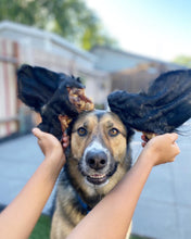 Load image into Gallery viewer, Beef Ear (Hairy)