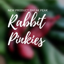 Load image into Gallery viewer, Whole Prey Rabbit Pinkies