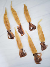 Load image into Gallery viewer, Squid (Wild Caught) - LARGE
