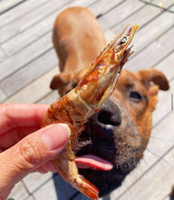 Load image into Gallery viewer, Shrimp
