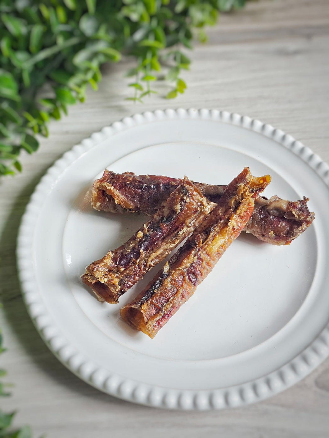 Lamb Trachea