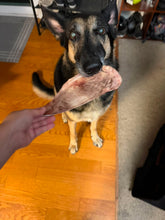 Load image into Gallery viewer, Bison Scapula (Grass Fed &amp; Finished) - Freeze Dried
